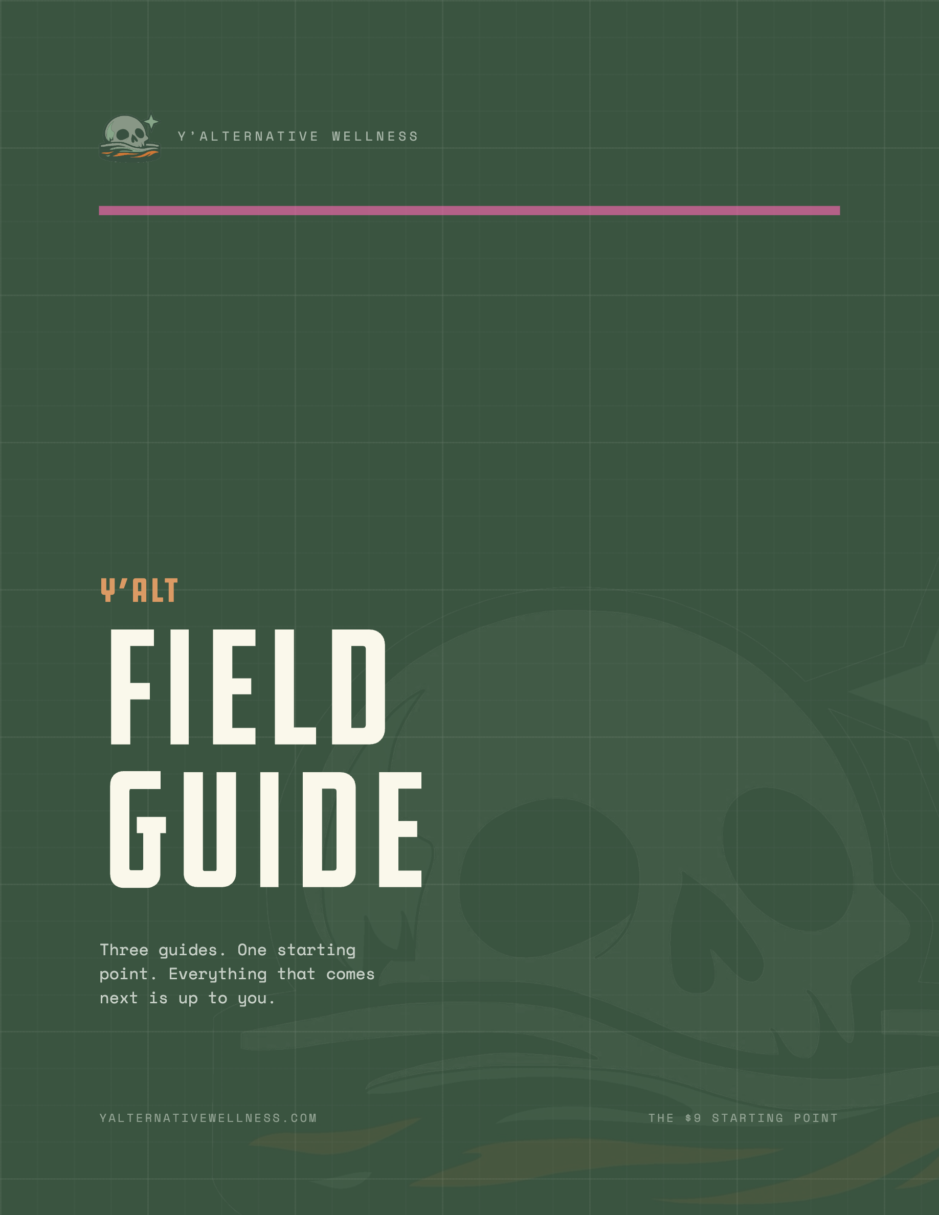 The Field Guide cover